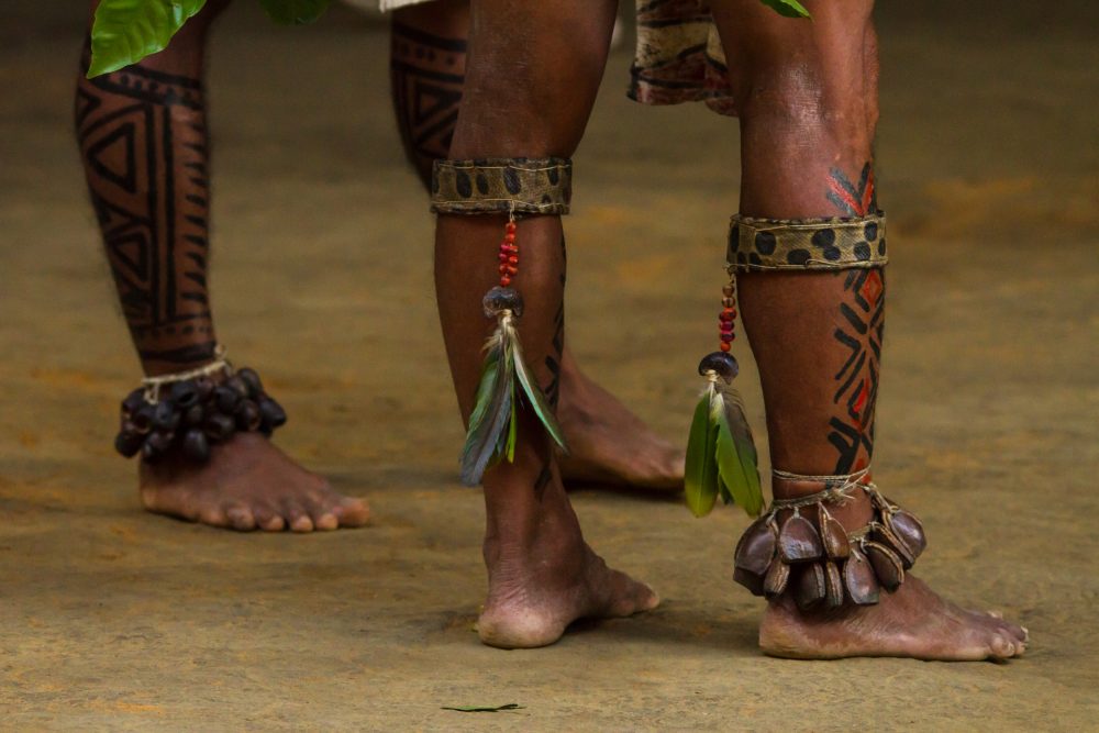 Leia mais sobre o artigo Podemos falar em demarcação dos direitos autorais indígenas no Brasil?